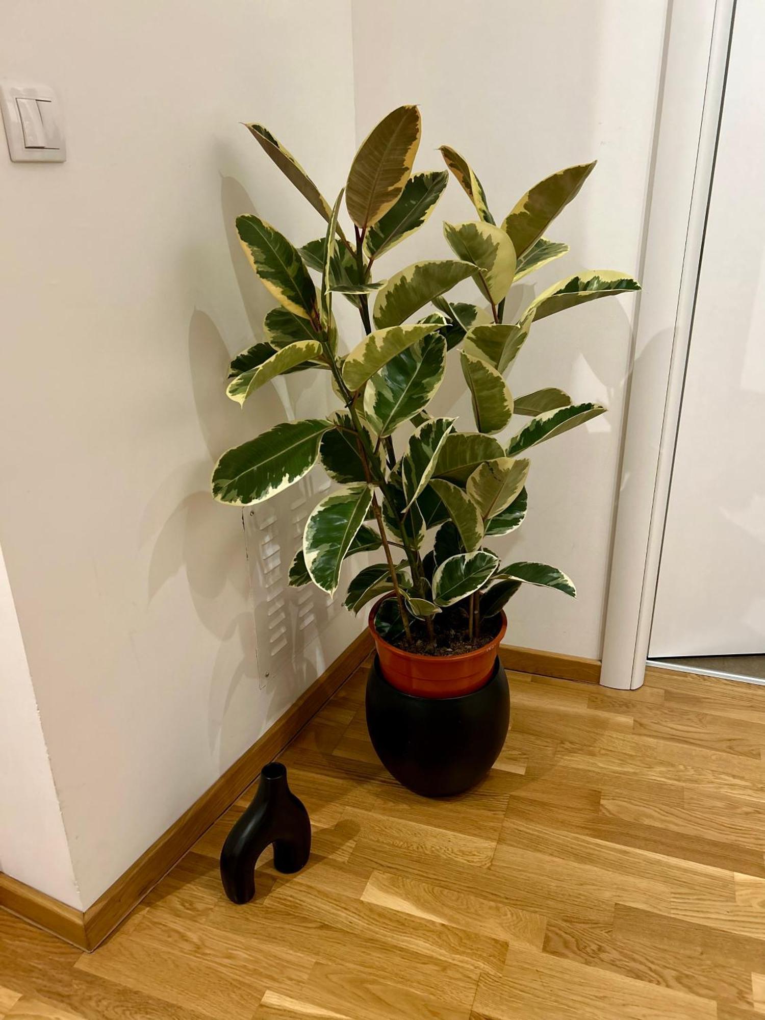Silversea Apartman Šabac Buitenkant foto